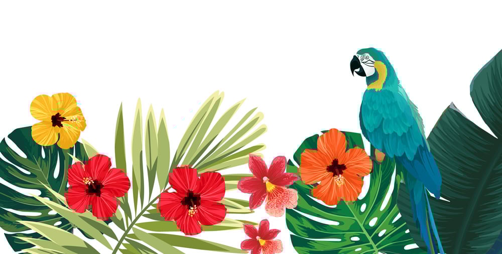 tropical_margaritaville-footer_1000x