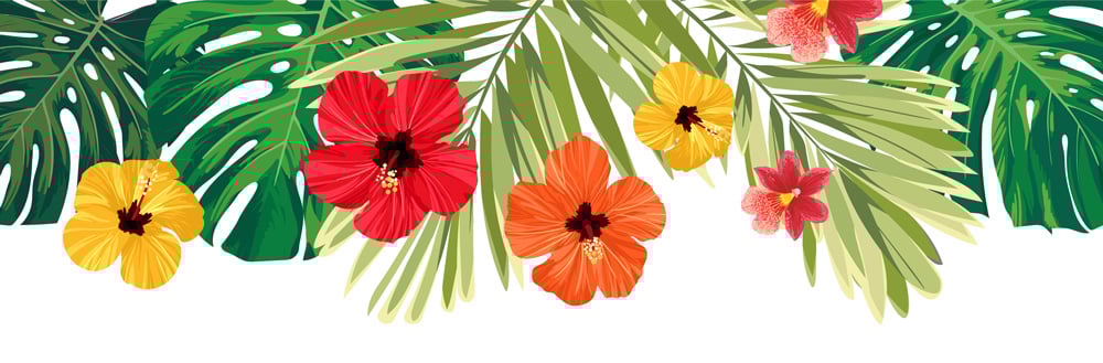 tropical_margaritaville-header_1000x