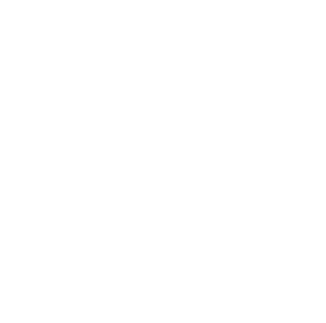 DUAL_Stamp_White-1